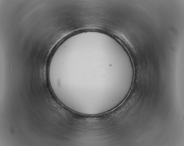 X0000113351268200910061011