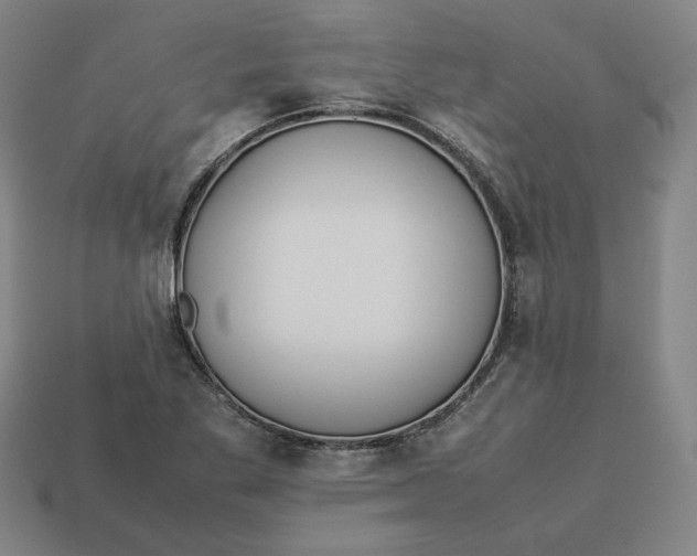 X0000113351269200910061011