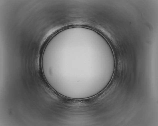 X0000113351270200910061011