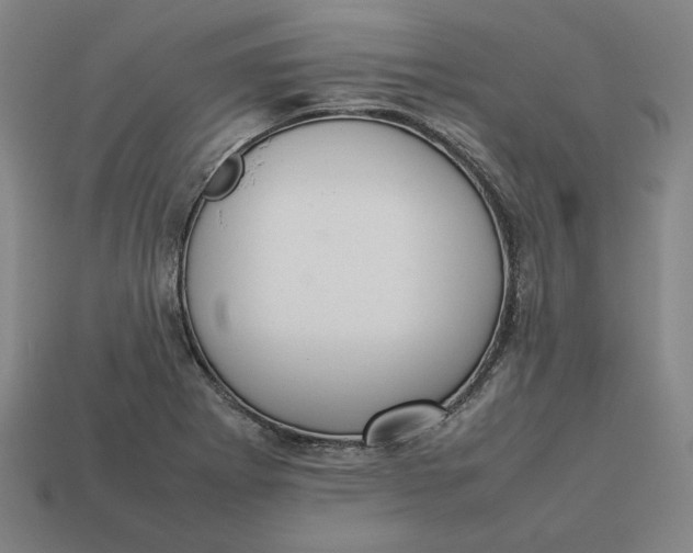 X0000113351273200910061011