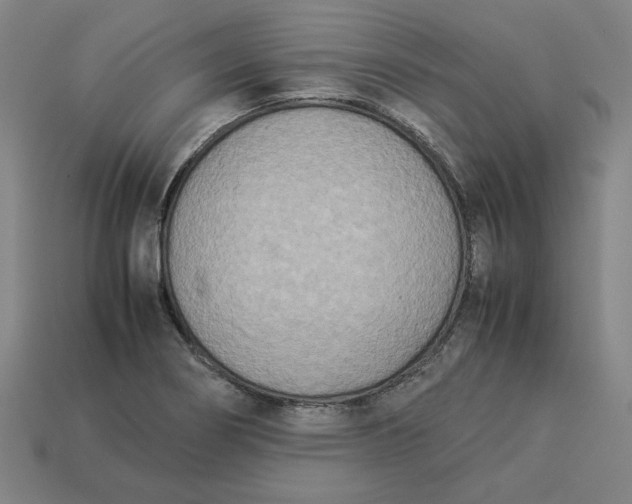 X0000113351274200910061011