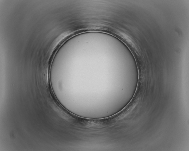 X0000113351275200910061011