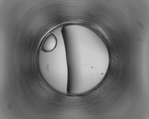 X0000113351276200910061011