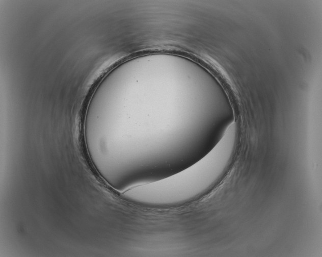 X0000113351277200910061011