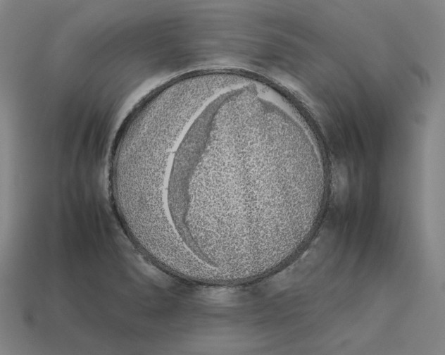 X0000113351278200910061011