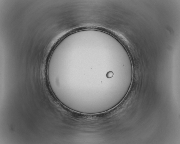 X0000113351279200910061011