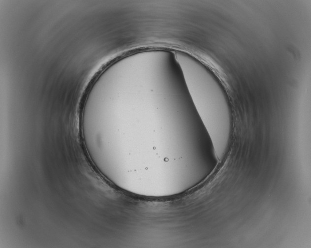 X0000113351280200910061011