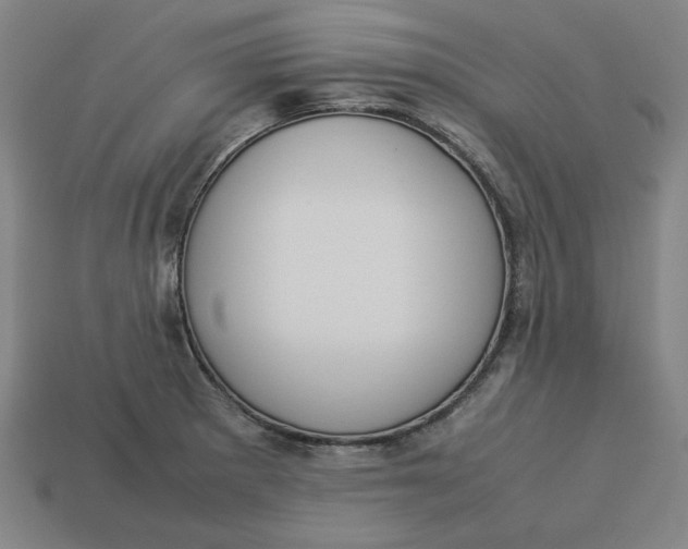 X0000113351281200910061011