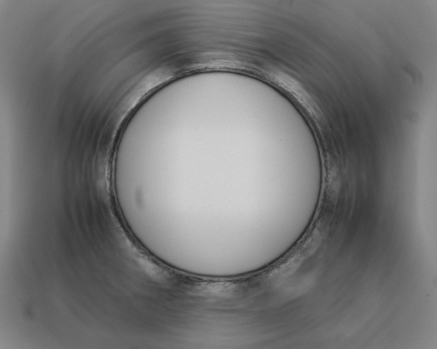 X0000113351282200910061011