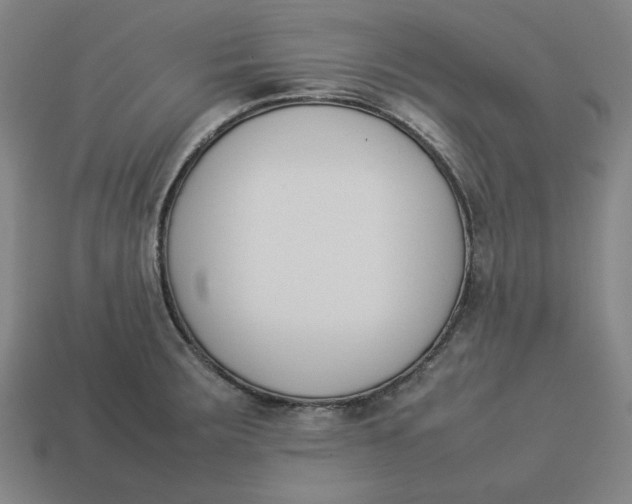 X0000113351283200910061011