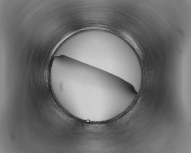 X0000113351284200910061011