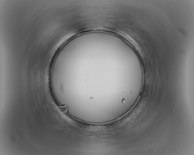 X0000113351285200910061011