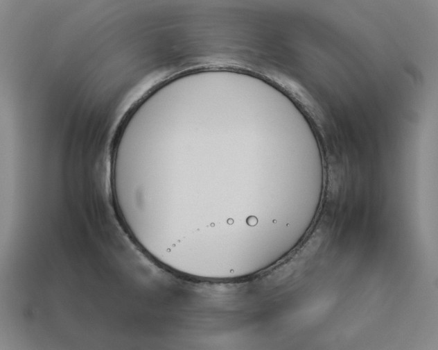 X0000113351286200910061011