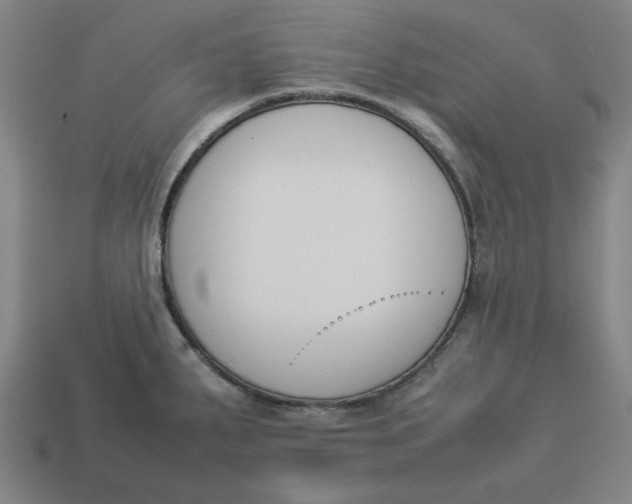 X0000113351287200910061011