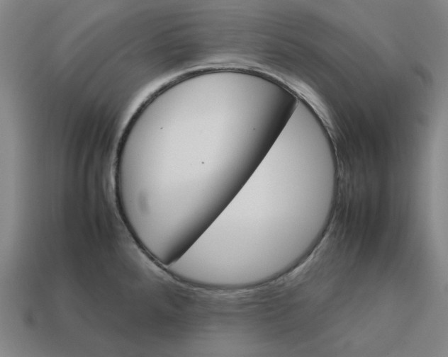 X0000113351288200910061011