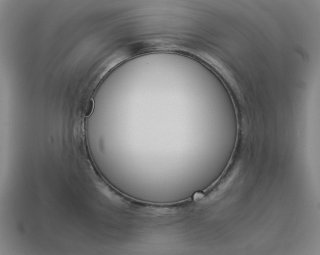 X0000113351289200910061011