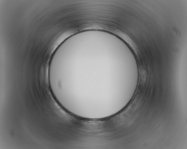 X0000113351290200910061011