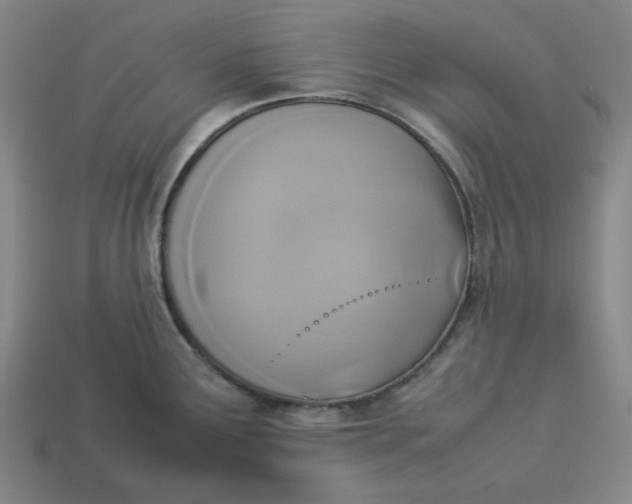 X0000113351291200910061011