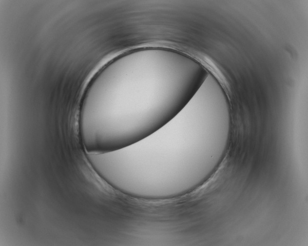 X0000113351292200910061011