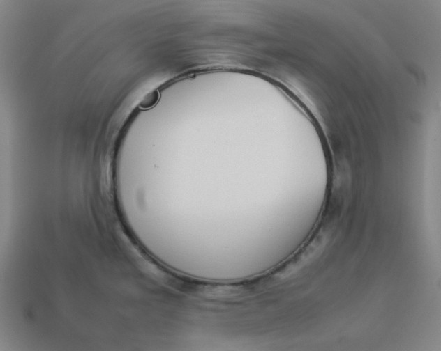 X0000113351293200910061011