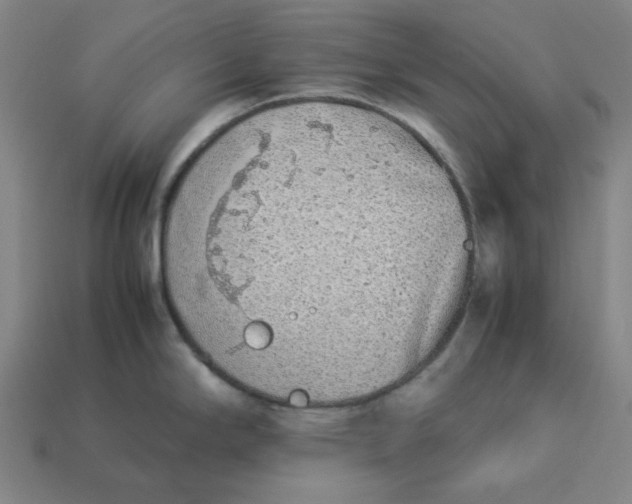 X0000113351294200910061011