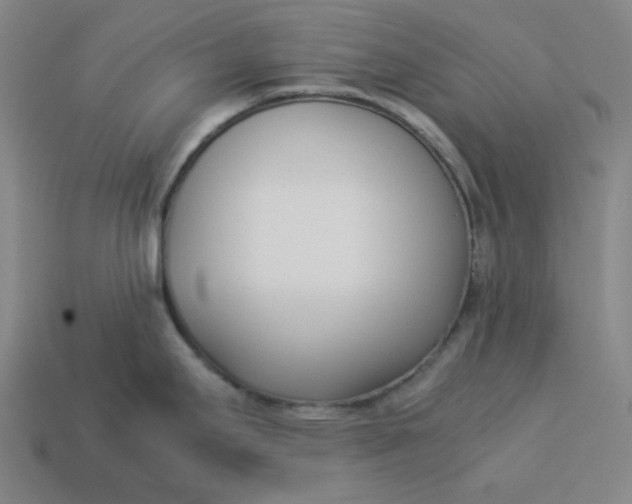 X0000113351295200910061011