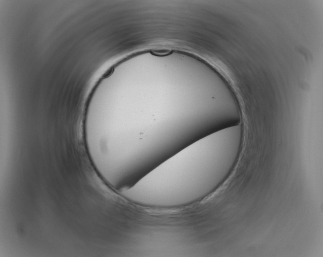 X0000113351296200910061011