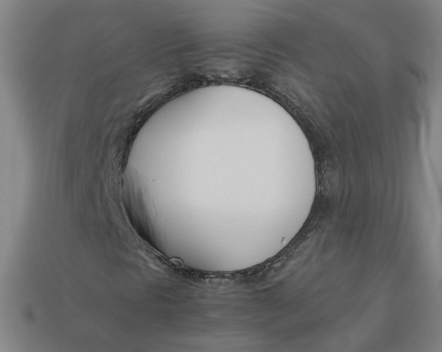 X0000113351297200910061010