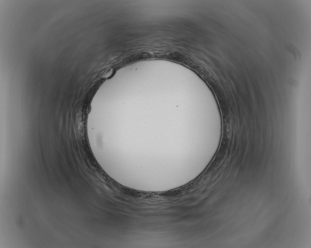 X0000113351298200910061010