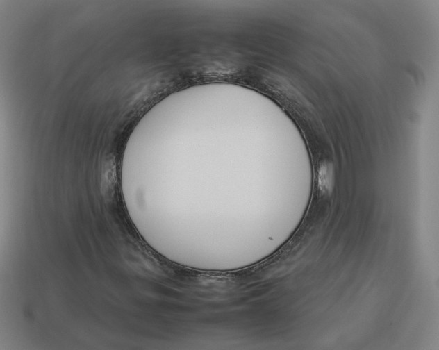 X0000113351299200910061010