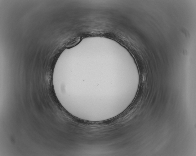 X0000113351300200910061010