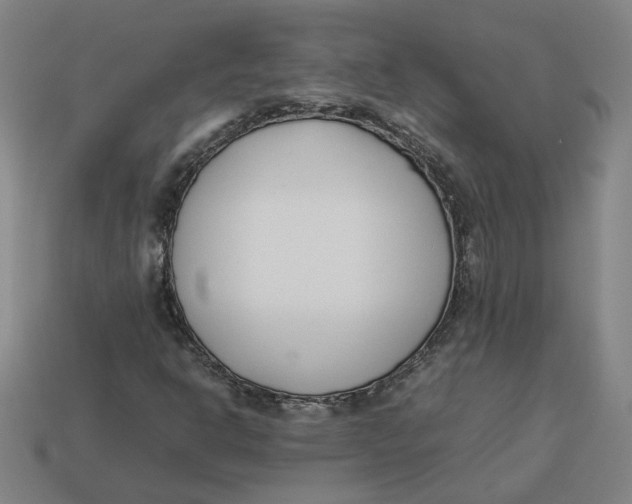 X0000113351302200910061010