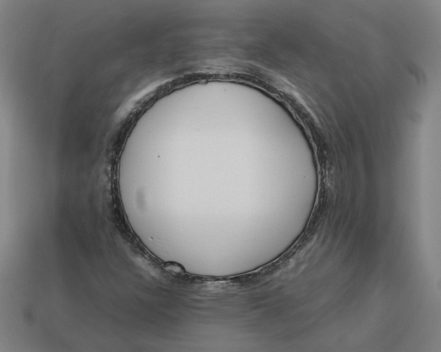 X0000113351304200910061010