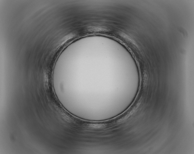 X0000113351305200910061010