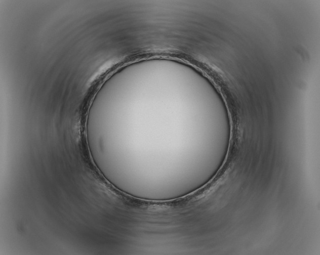 X0000113351306200910061010