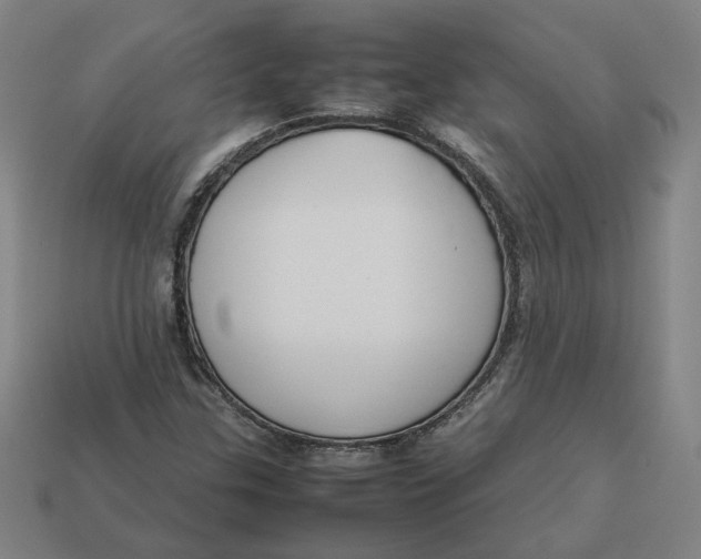 X0000113351307200910061010