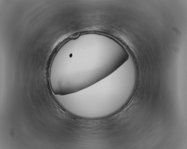 X0000113351308200910061010