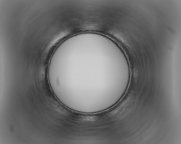 X0000113351309200910061010