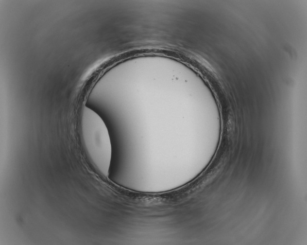 X0000113351310200910061010