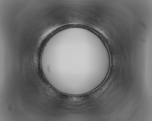 X0000113351311200910061010