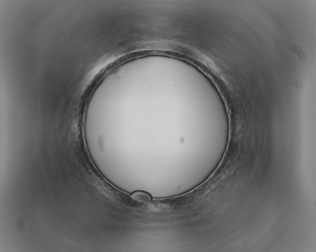 X0000113351312200910061010