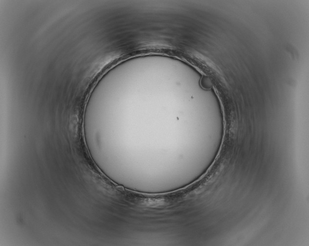 X0000113351313200910061010