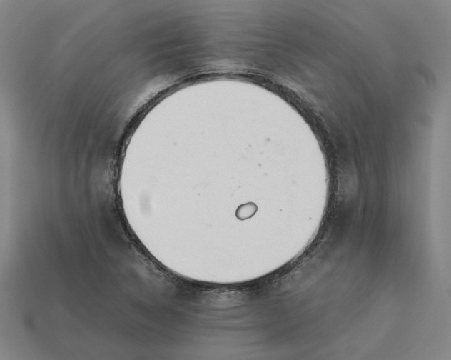 X0000113351314200910061010