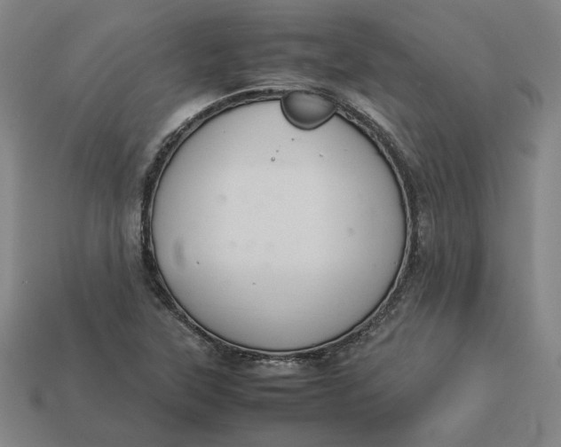 X0000113351315200910061010