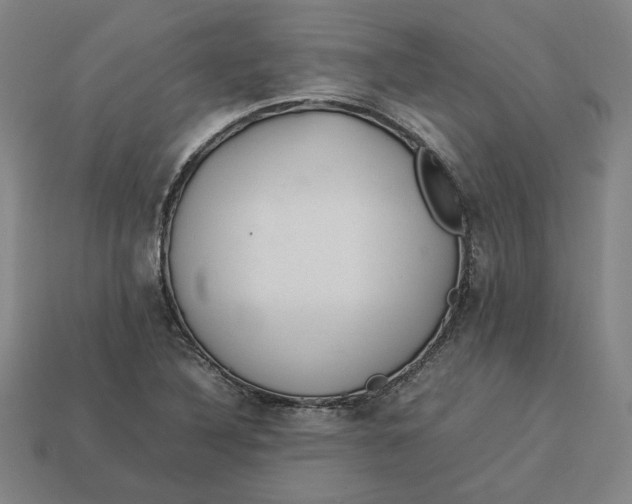 X0000113351316200910061010