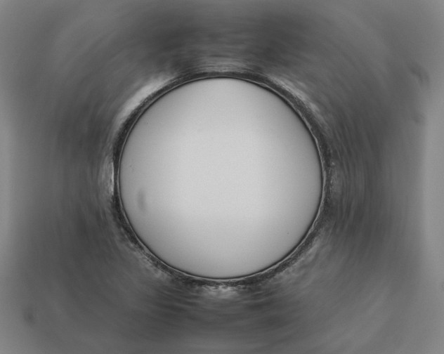 X0000113351317200910061010