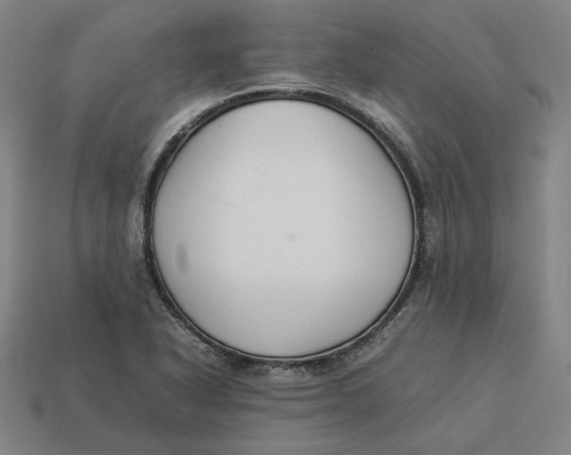 X0000113351318200910061010