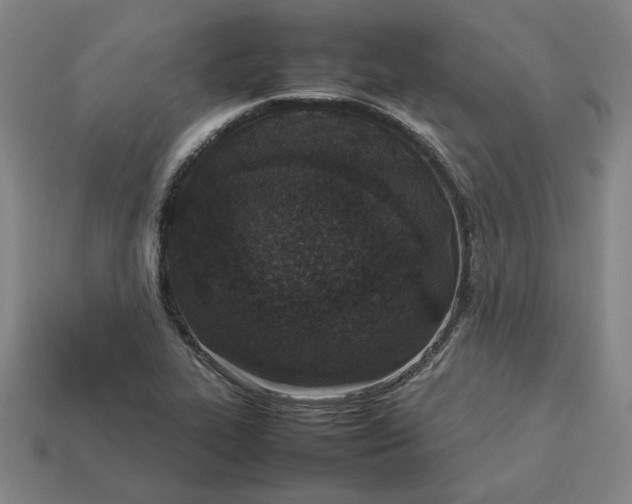 X0000113351319200910061010