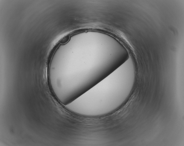 X0000113351320200910061010