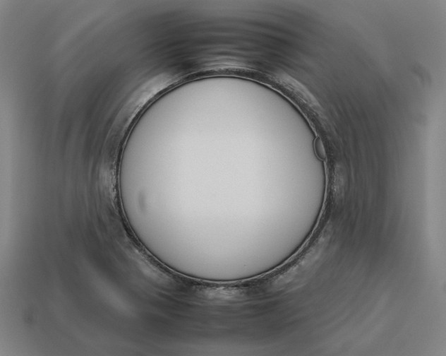 X0000113351321200910061010